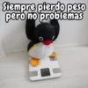 Pingu de peluche 🐧🐧 12