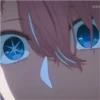 Aquamarine Hoshino Pack 12 13