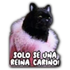 Revoltijo Clásico 🍥👀 8