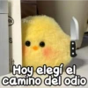 CE Persy S B Hoy elegi el camino del odio