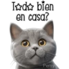Gatito gris 🐈‍⬛🩶 7