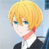 Aquamarine Hoshino Pack 11 19