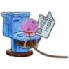 Bob Esponja y amigos 2🧽⭐️ 12