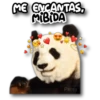 Panda B&W🖤🐼🤍 13