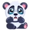 PANDAS 🐼Y FLORES🌺 12