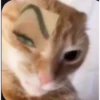 Thai Meme Sticker V2 19