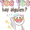 Gatito blancos 🤍🐱 12