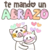 Gatito blancos 🤍🐱 14