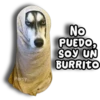 Perritos Husky 🐺💬 19