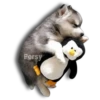 Perritos Husky expresiones 🐺 13