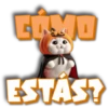 Gatito calabaza 🐱🎃 16
