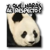 Panda B&W🖤🐼🤍 15