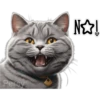Gatito gris 🐈‍⬛🩶 9