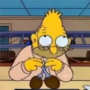 The Simpsons 17