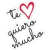COQUETA 19