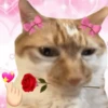 💞💖 AMOR 6 💖💞 18