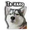 Perritos Husky 🐺💬 20