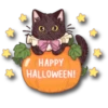 Halloween cats 🐱🎃 14