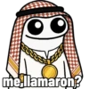 Flork árabe 😎💼 13