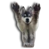 Perritos Husky expresiones 🐺 15