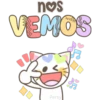 Gatito blancos 🤍🐱 17