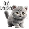 Gatito gris 🐈‍⬛🩶 10