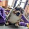 Bombastic side eye 7