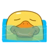 Duke-duck 5