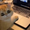 Thai Meme Sticker V2 22