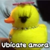 Persy Ubicate amora