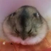 Persy