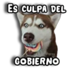 Perritos Husky 🐺💬 22