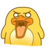 Duke-duck 6