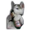 Perritos Husky expresiones 🐺 18