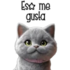 Gatito gris 🐈‍⬛🩶 15