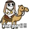 Flork árabe 😎💼 14