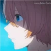 Aquamarine Hoshino Pack 12 19