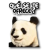 Panda B&W🖤🐼🤍 18