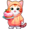 Gatos con capucha 😻 23