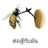 Thai Meme Sticker - V1 20