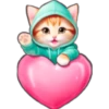 Gatos con capucha 😻 25