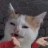Thai Meme Sticker V2 24