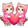 Gatos con capucha 😻 26
