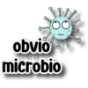 obvio Persy microbio