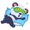 PANDAS 🐼Y FLORES🌺 22