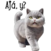Gatito gris 🐈‍⬛🩶 18