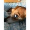 Bombastic side eye 9