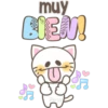 Gatito blancos 🤍🐱 21