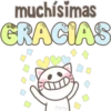 Gatito blancos 🤍🐱 22