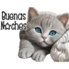 Gatito gris 🐈‍⬛🩶 20